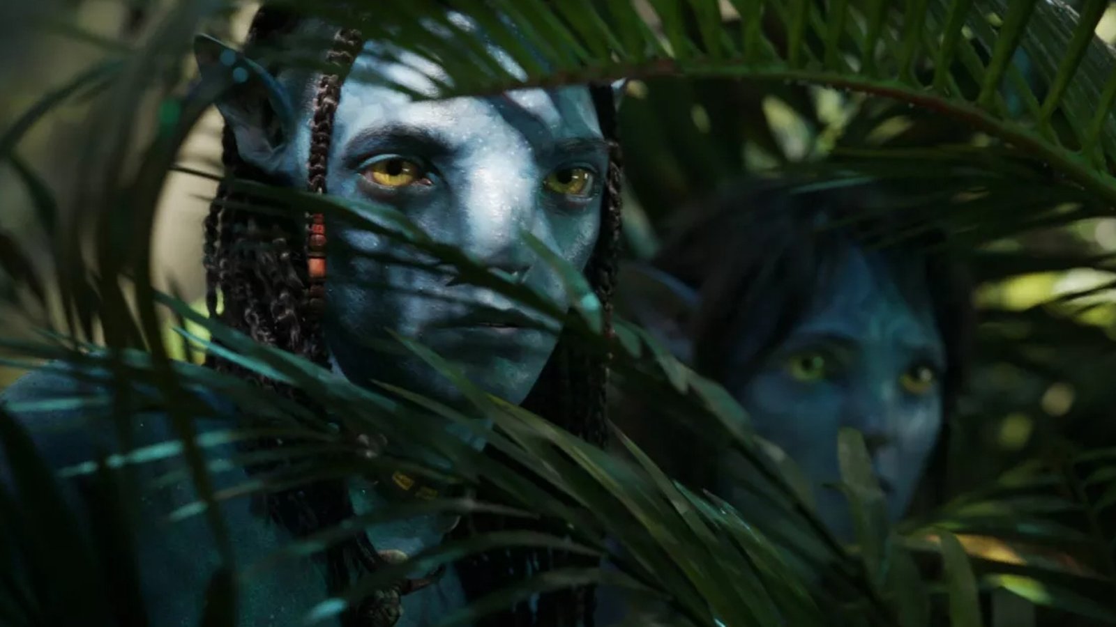 The truth about the cinematic wonder Avatar 2: The director dived 10km into the ocean to find inspiration 6